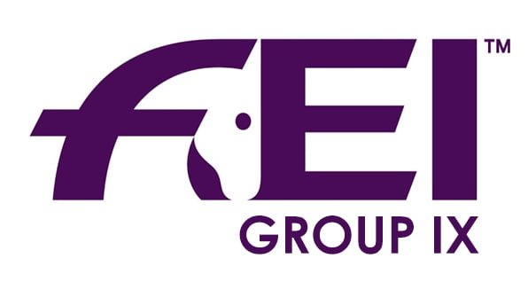 FEI Group IX